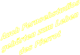 Auch Fernsehstudios
geh�rten zum Leben
des Pierrot
